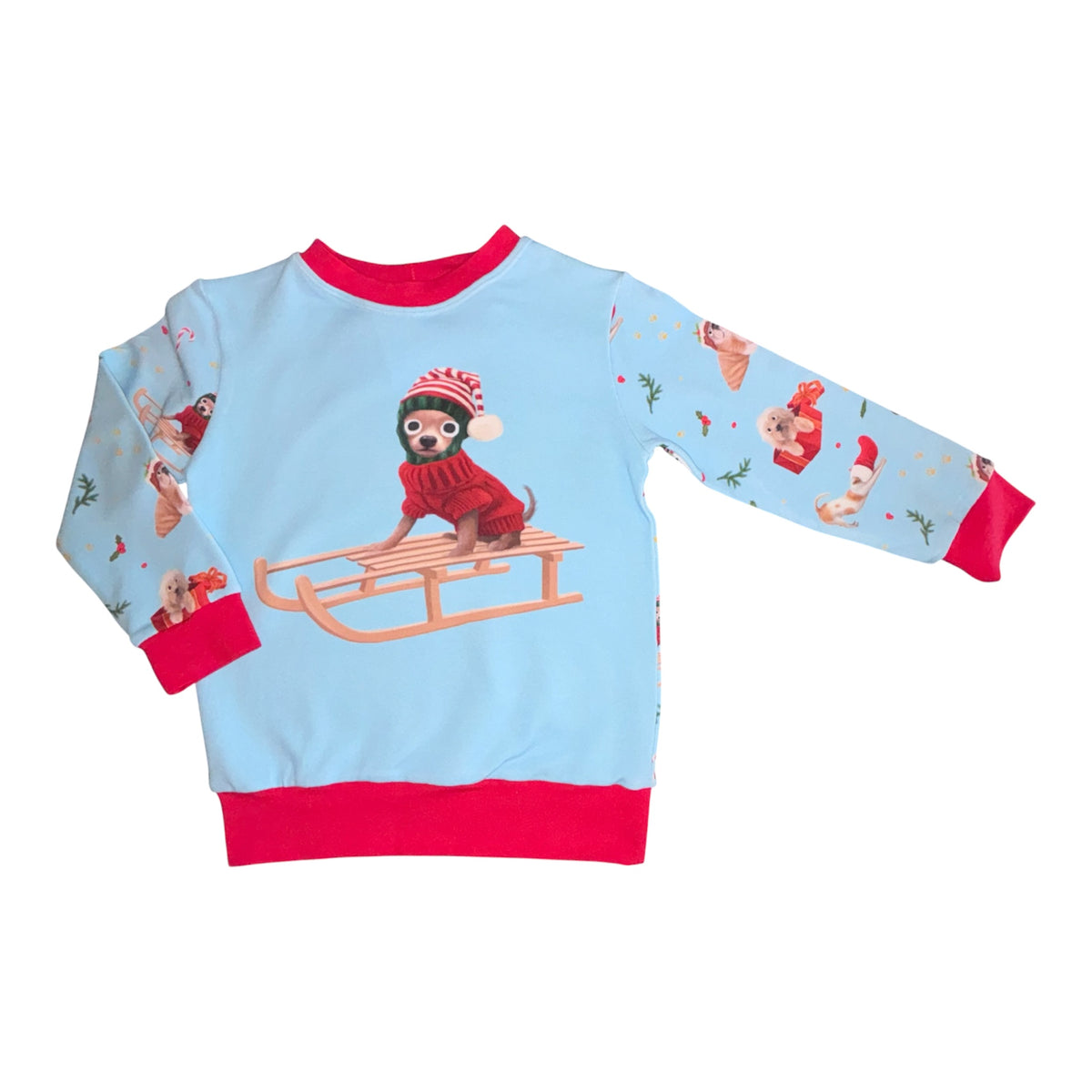 Christmas Dogs Jumpers (assorted designs)