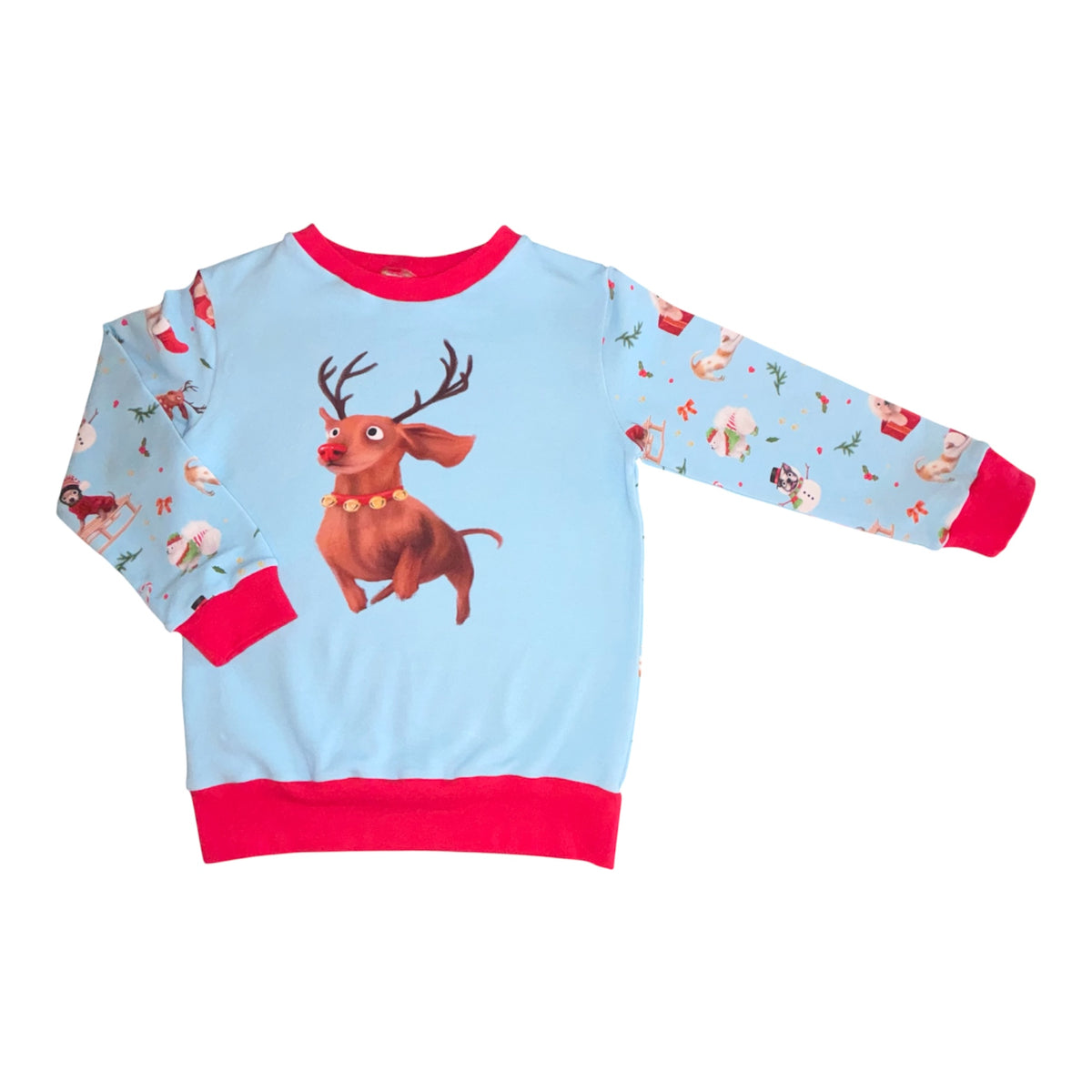 Christmas Dogs Jumpers (assorted designs)