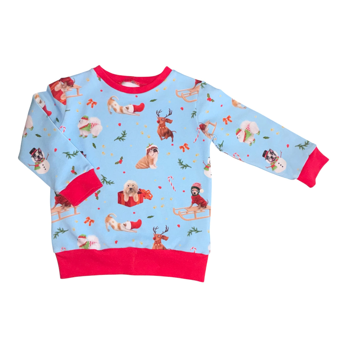 Christmas Dogs Jumpers (assorted designs)
