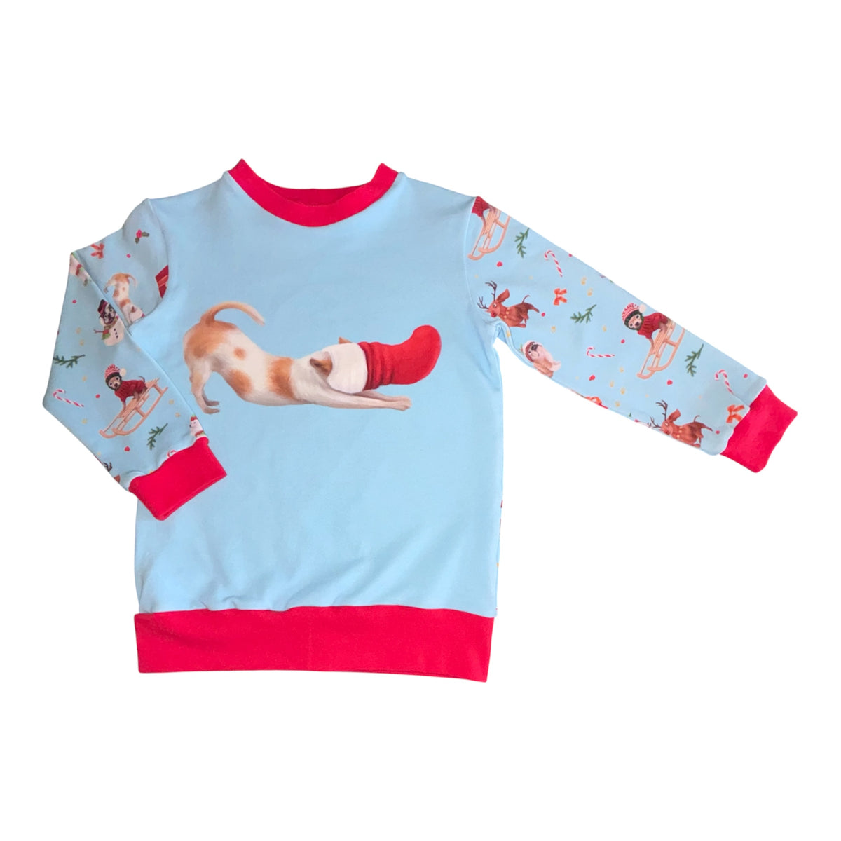 Christmas Dogs Jumpers (assorted designs)