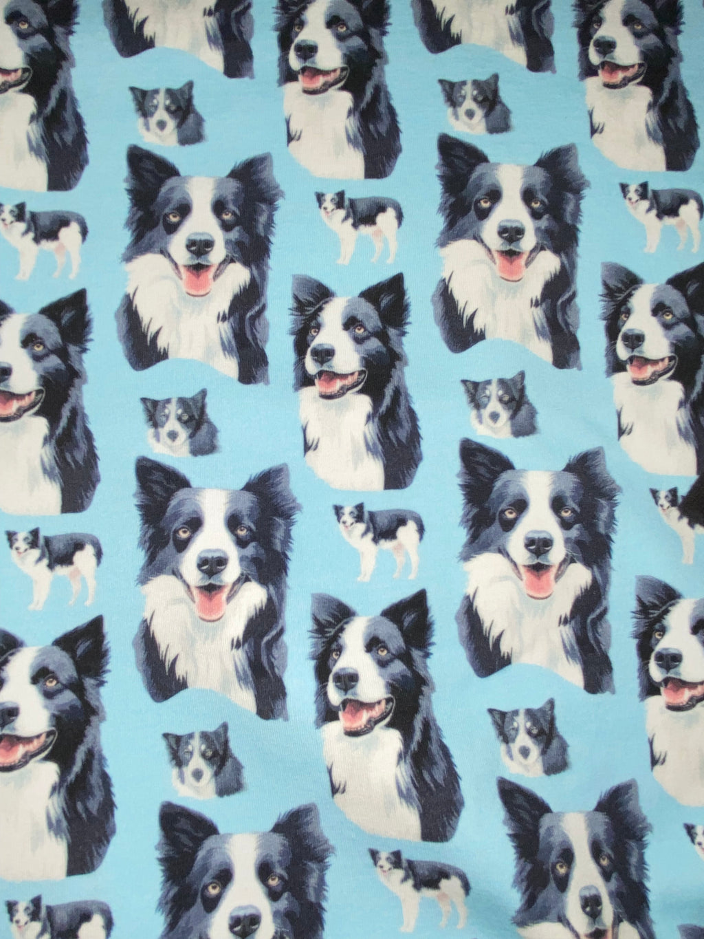 Collie Dog Jumper
