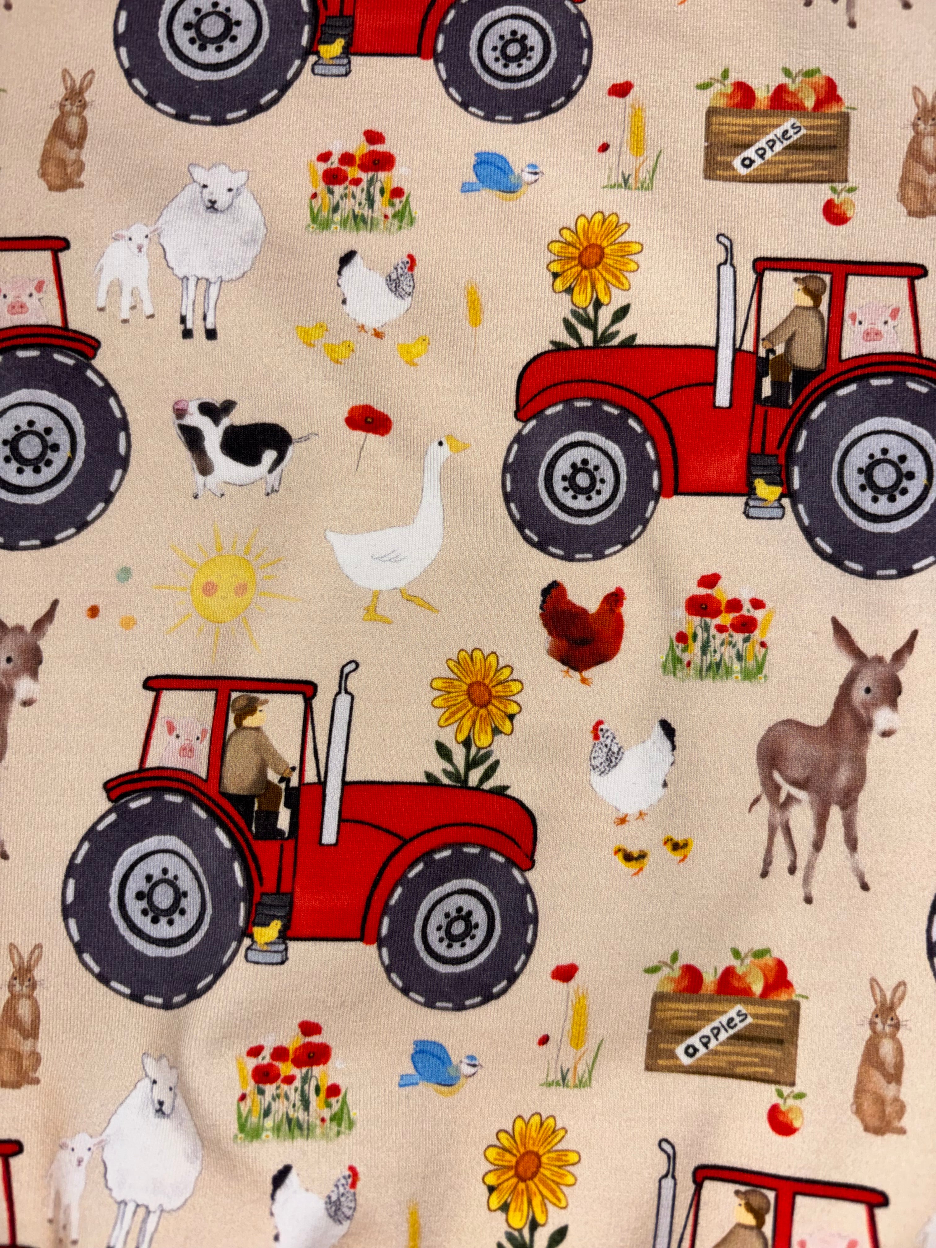 Farm Life Long Sleeve Top