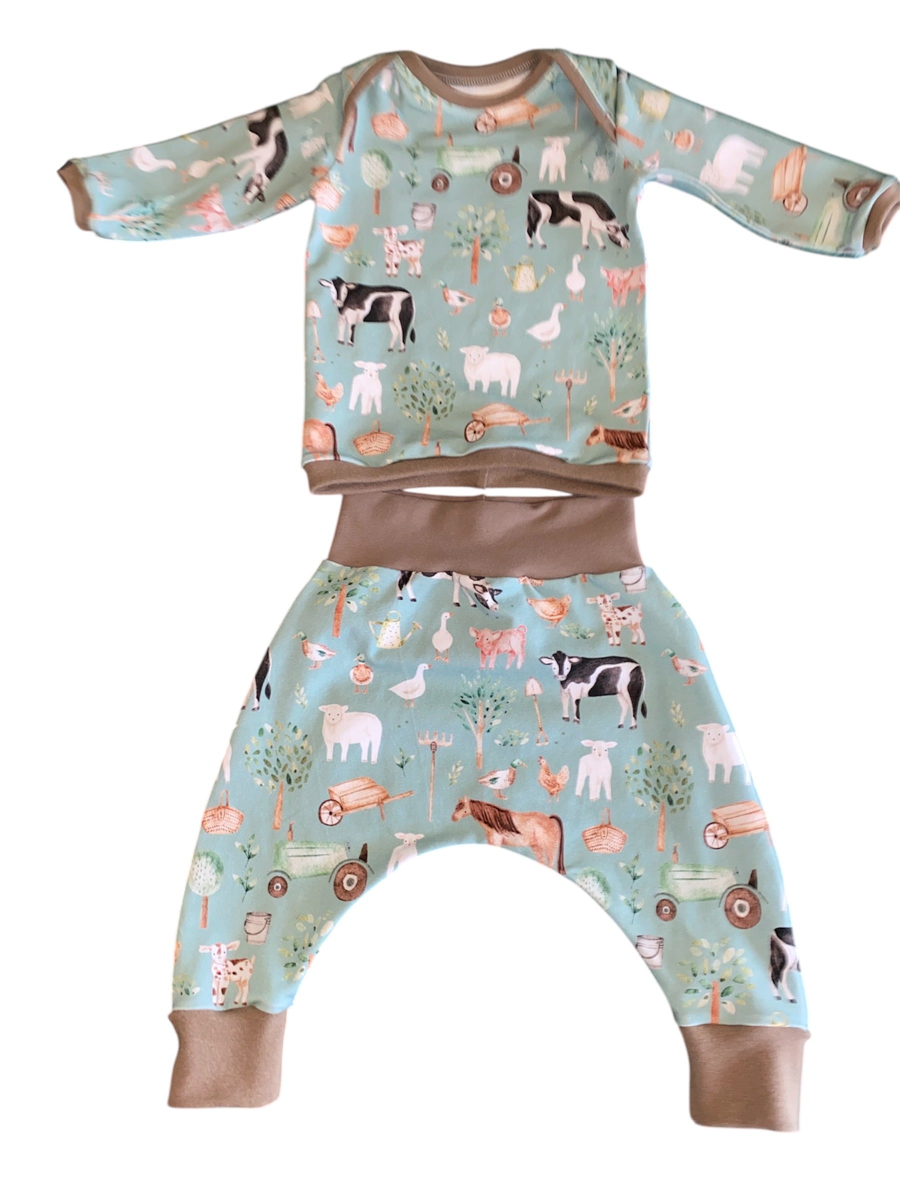 Bramble Farm Harem Pants and Long Sleeve Top
